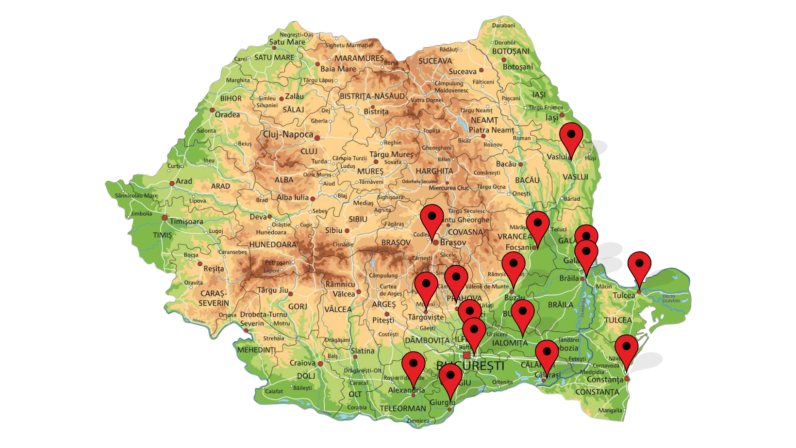 zone de acoperire forest company